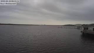 Steinhatchee River Webcam [upl. by Zinah914]