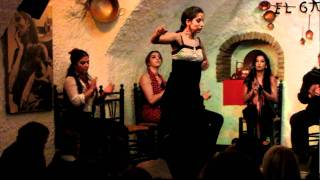 Flamenco en Venta el Gallo Granada [upl. by Nosmirc]