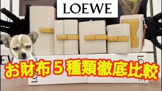 【ロエベ】 大人気のお財布５種類徹底比較  迷ったら見て  LOEWE POPULAR WALLETS COMPARISON [upl. by Alesi42]