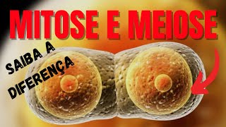 Resumo sobre Mitose e Meiose  Questão sobre divisão celular [upl. by Nnylharas]