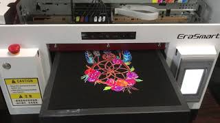 TShirt Printer DTG Printer [upl. by Nehtiek546]