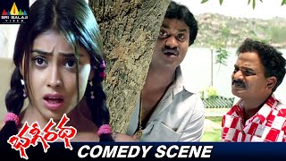 Venu Madhav and Sunil Ultimate Comedy Scene  Bhageeratha  Telugu Funny Scenes SriBalajiComedy [upl. by Atilem]