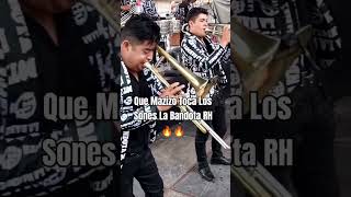 Que Mazizo Toca Los Sones La Bandota RH musicadeviento musicadebanda shorts [upl. by Biddick]