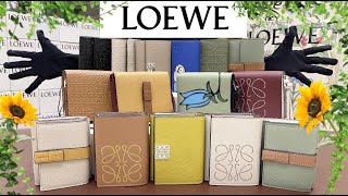 ロエベ 人と被らないお財布！合計15点 一挙公開 徹底比較 LOEWE Wallets Comparison [upl. by Aysan]