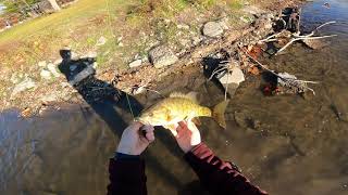 Dinks and Windy Fishing  Fox River [upl. by Siskind413]