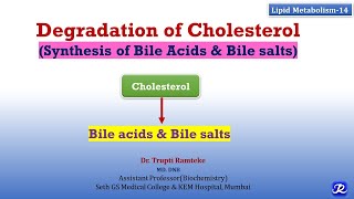 14 Cholesterol Degradation  Lipid Metabolism14  Biochemistry  NJOY Biochemistry [upl. by Jaime]