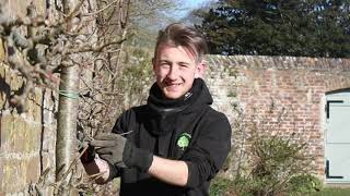 Horticulture Apprenticeship VOD at Duchy College [upl. by Duer]