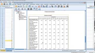 Explorative Faktorenanalyse mit SPSS [upl. by Libys853]