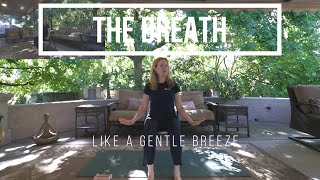 1155 The Breath Like a Gentle Breeze [upl. by Farwell448]