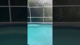 Heavy rainthunderstorms in SW Florida Low elevation and flooding Like and subscribe Thanks [upl. by Ohcirej926]