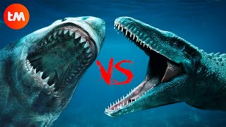 MEGALODON VS MOSASAURUS Whos The KING Of The SEAS [upl. by Haywood]