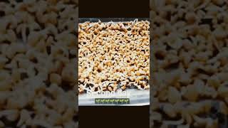 How to grow Fenugreek seeds without soil fenugreek methishorts [upl. by Htebaile164]