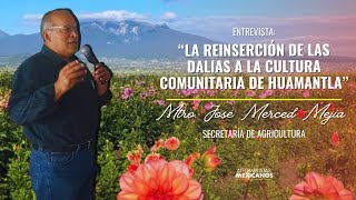 El Renacimiento de la Dalia en Huamantla Entrevista Exclusiva con el Maestro José Mejía 🇲🇽🌼 [upl. by Nairadal]