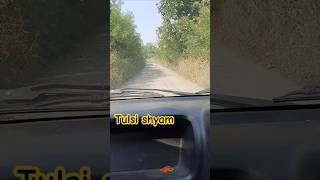 Tulsi shyam forest tulsishyam forest youtubeshorts [upl. by Siol]