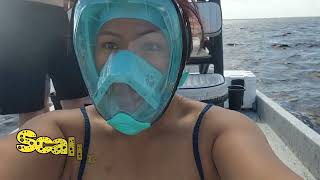 Full Day Fishing and Scallop Charter at Steinhatchee Fl FL fishingcharter scallops florida [upl. by Ruzich]