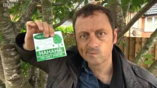 Rogue Traders  Greenways Tree amp Garden Care 2017 [upl. by Susejedairam836]