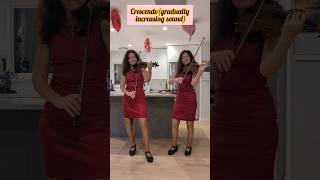 Violin vs viola crescendo decrescendo shorts [upl. by Judi]