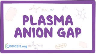 Plasma anion gap [upl. by Nidorf573]