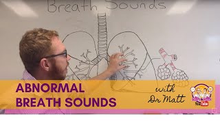 Abnormal Breath Sounds  Respiratory System [upl. by Akcinat]