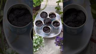 Cup cake  Cupcake recipe Chocolate cupcake recipe  Eggless cupcake recipe Cup cake making recipe [upl. by Nocam24]