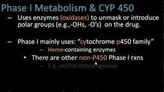 Phase I Metabolism  Pharmacology Lect 7 [upl. by Constance]