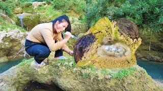 Two incredible oysters guard the oversized pearls Multi layer protection is very difficult to open [upl. by Scotney147]