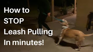 How To Stop Leash Pulling In Minutes [upl. by Lorelei]