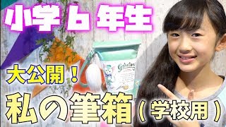 女子小学生！私の筆箱を紹介します！学校用の筆箱【ももかチャンネル】 [upl. by Komsa]