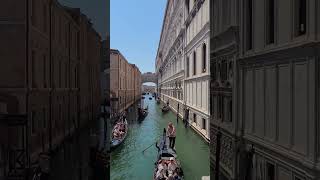 Venezia Italy foryou travel venice subscribe foryoupage viralvideo shots viralshorts [upl. by Risteau]