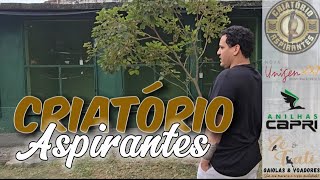 Conheça o Criatório Aspirantes [upl. by Moazami]