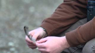 Turkey Hunting Basics  Signs to Look For  Part 2 of 5 [upl. by Amik]