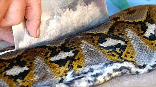 Indonesian Food  GIANT PYTHON Snake Curry Manado Indonesia [upl. by Bland167]