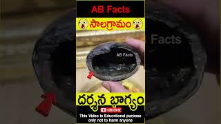 🙏సాలగ్రామం🙏 Mahavishnu roopam in shaligram telugufacts vishnupuran shorts youtubeshorts abfacts [upl. by Norabel998]