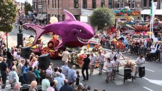 Verslag Bloemencorso Dendermonde TVOost 2012 [upl. by Leihcey]