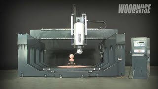 WOODWISE 5Axis CNC [upl. by Hamann]