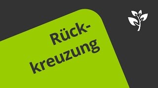 Rückkreuzung  Eine Erklärung  Biologie  Genetik [upl. by Idnas]