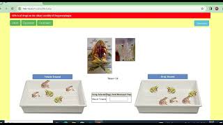 Experiment 21 Effects of drugs on the ciliary motility of frog oesophagus Gastro Intestinal Tract [upl. by Bysshe]