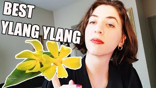 TOP 5 YLANG YLANG FRAGRANCES [upl. by Annohsal]