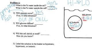 Diffusion Osmosis Practice Problems [upl. by Lejna223]