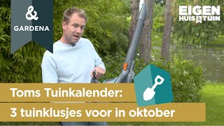 Oktober 3 klusjes die je deze maand in de tuin kunt doen  Toms Tuinkalender  Eigen Huis amp Tuin [upl. by Kolnick116]