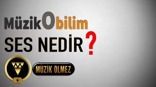 Müzikobilim  Ses Nedir [upl. by Hyde]