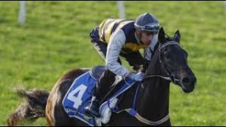 Caulfield Cup DAY 2024 Preview  Lots of VALUE on this card [upl. by Eelyram]