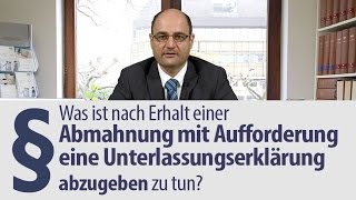 Rechtsanwalt  Heidelberg  Abmahnung  Hilfe  Unterlassungserklärung [upl. by Giacamo278]