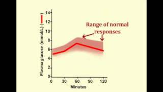 Glucose Tolerance Test Expected normal results [upl. by Bertila]