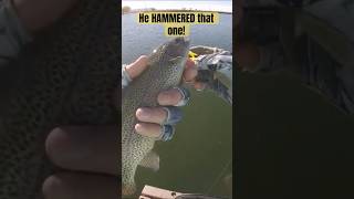 He HAMMERED that one fishing troutfishing rainbowtrout [upl. by Samuel787]