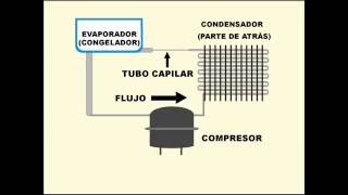 Como funciona un refrigerador [upl. by Arehs]