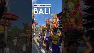 Membawa banten gebogan bali [upl. by Dranyam]