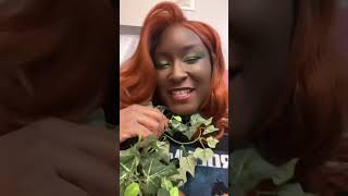 Poison Ivy 💚💋 vlogtober2024 halloween2024 poisonivy costume cosplay [upl. by Enaira]