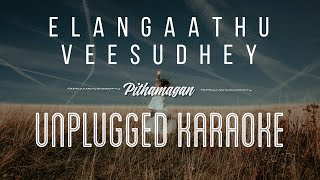 Elangaathu Veesudhey  Pithamagan  Karaoke with Lyrics  Unplugged Ilayaraja Sebin Xavier Musical [upl. by Donn574]