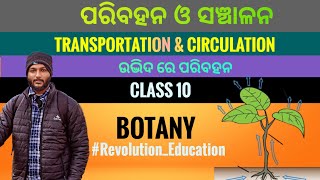 Transportation and Circulation in plants  Class 10 botany chapter3 in odia [upl. by Bac]